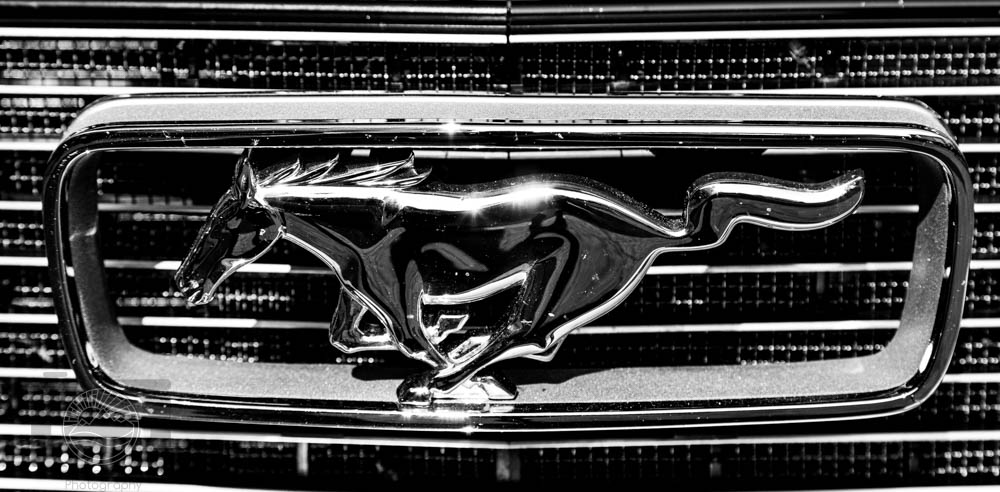 Mustang