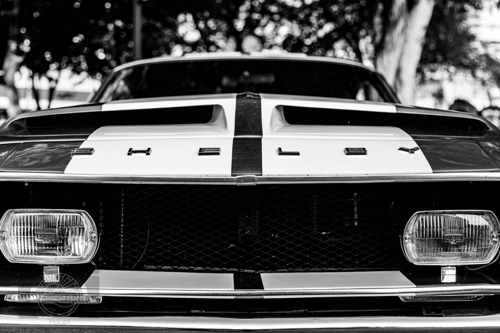Shelby