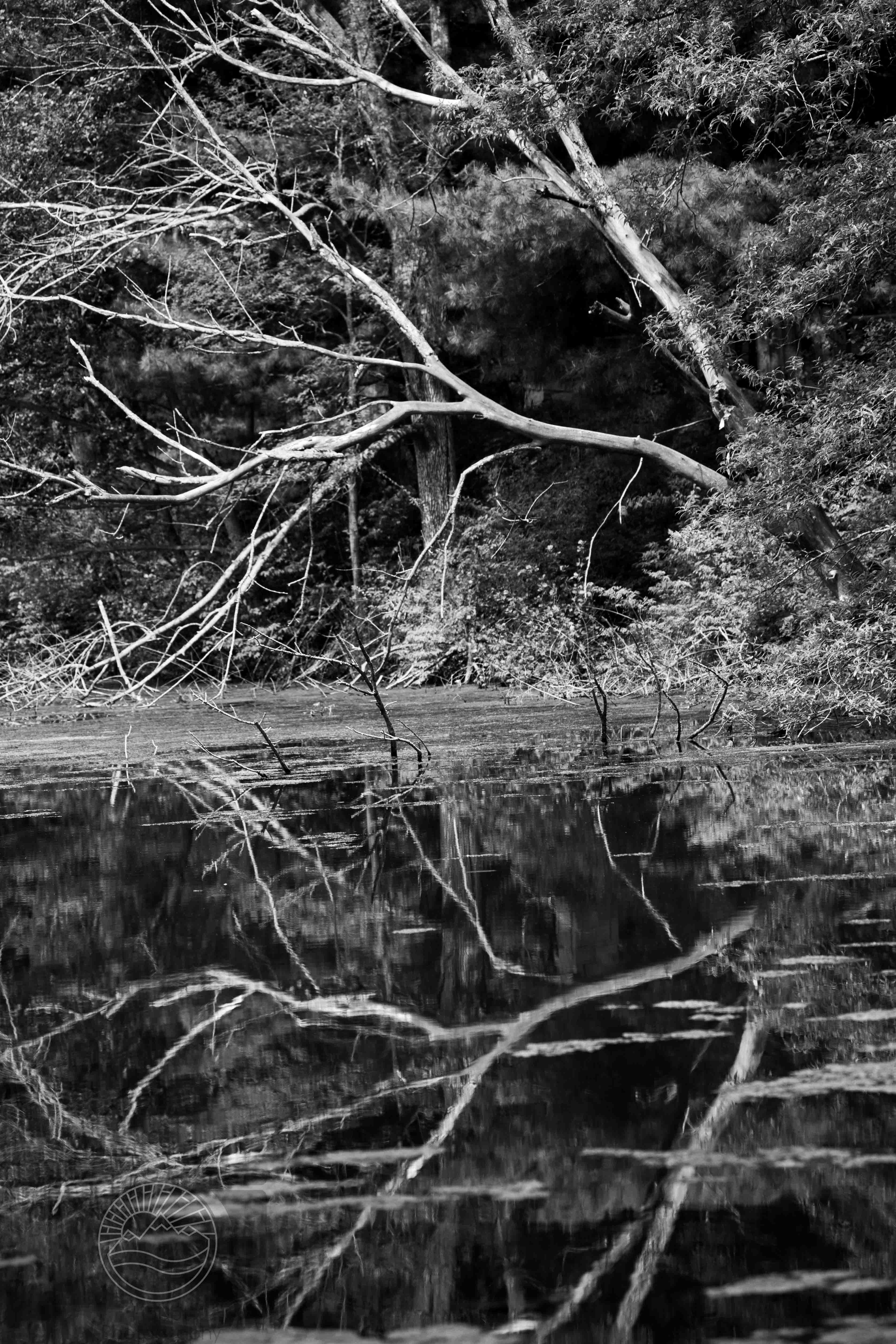 Reflections