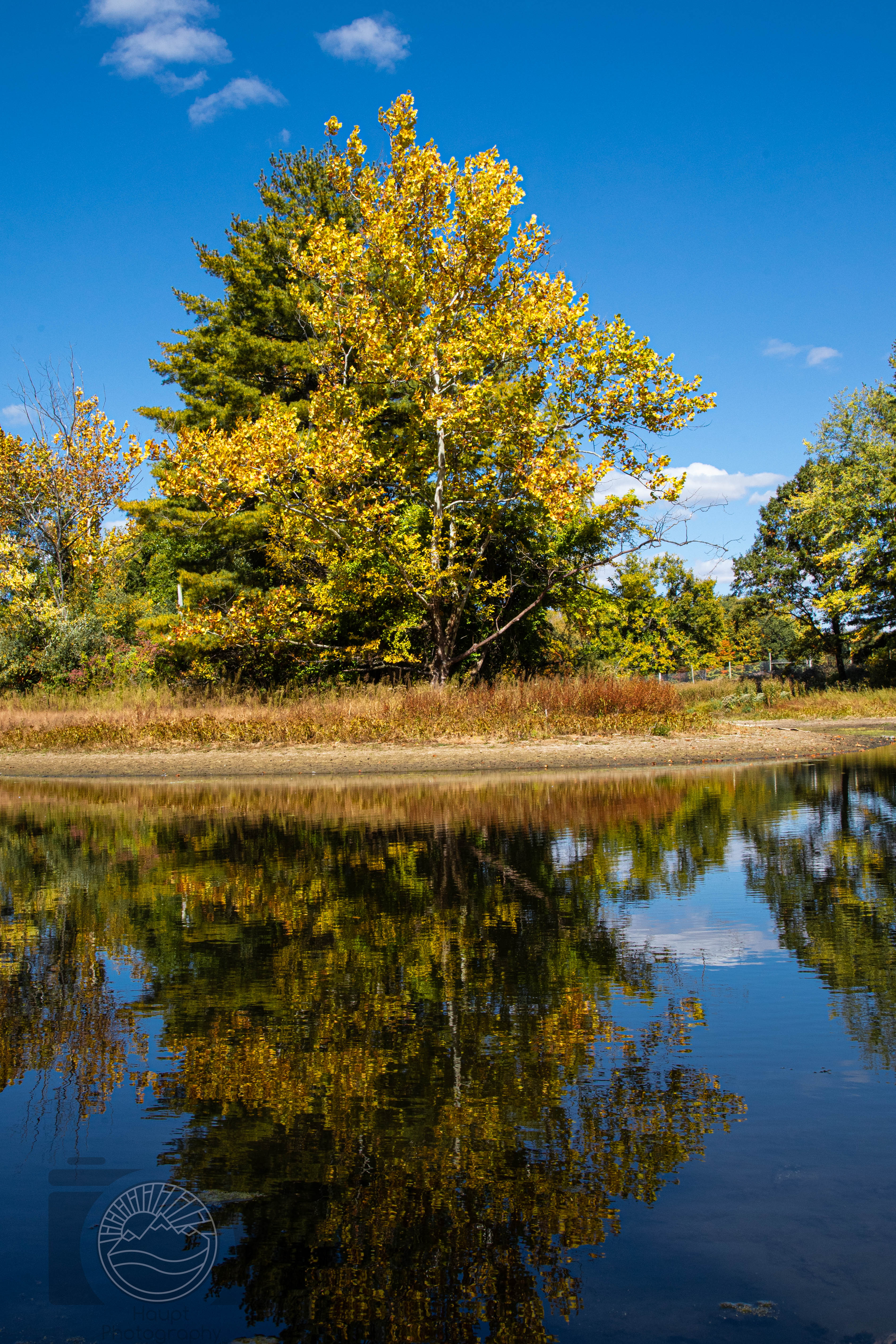 Autumn Reflections