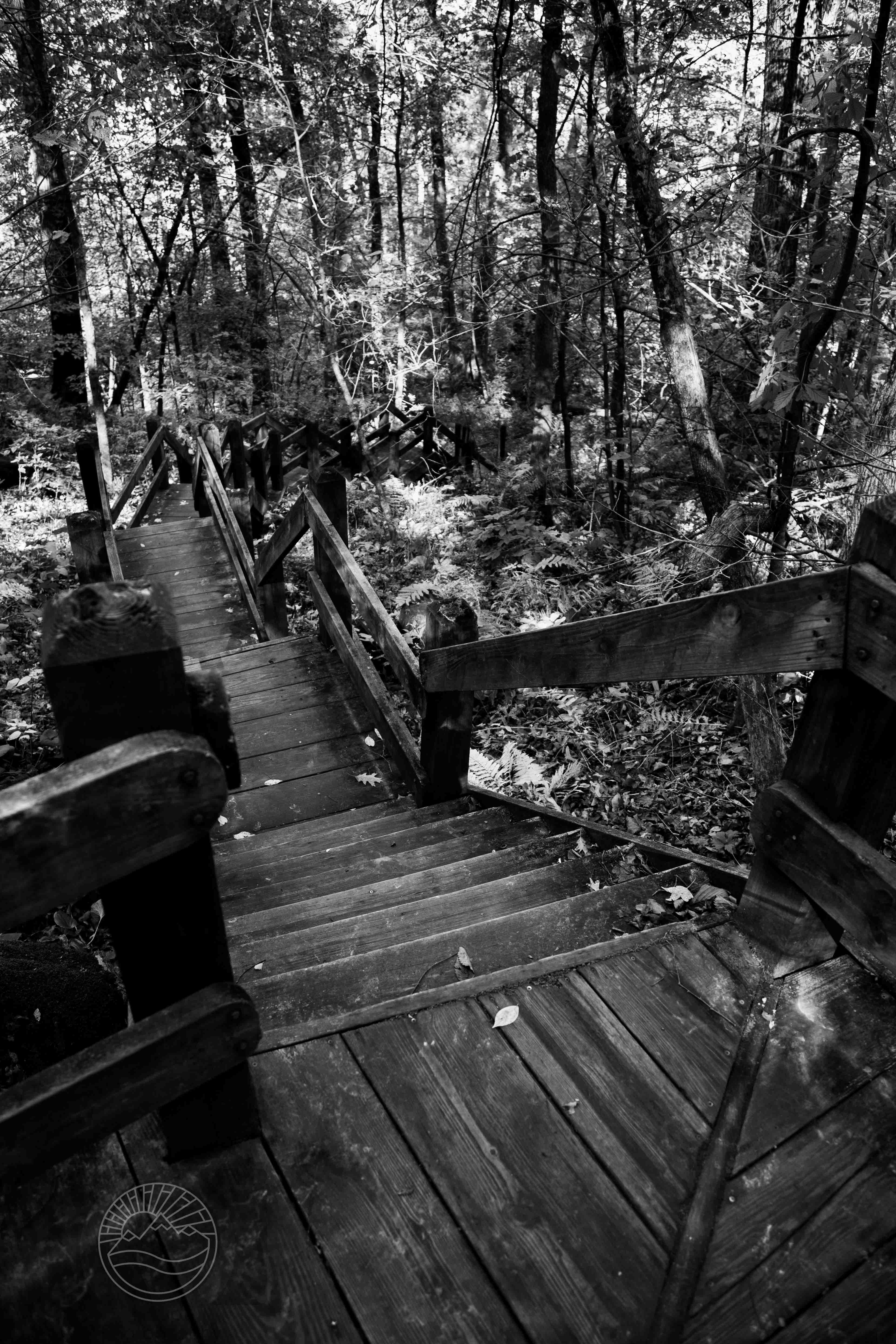 Silent Descent
