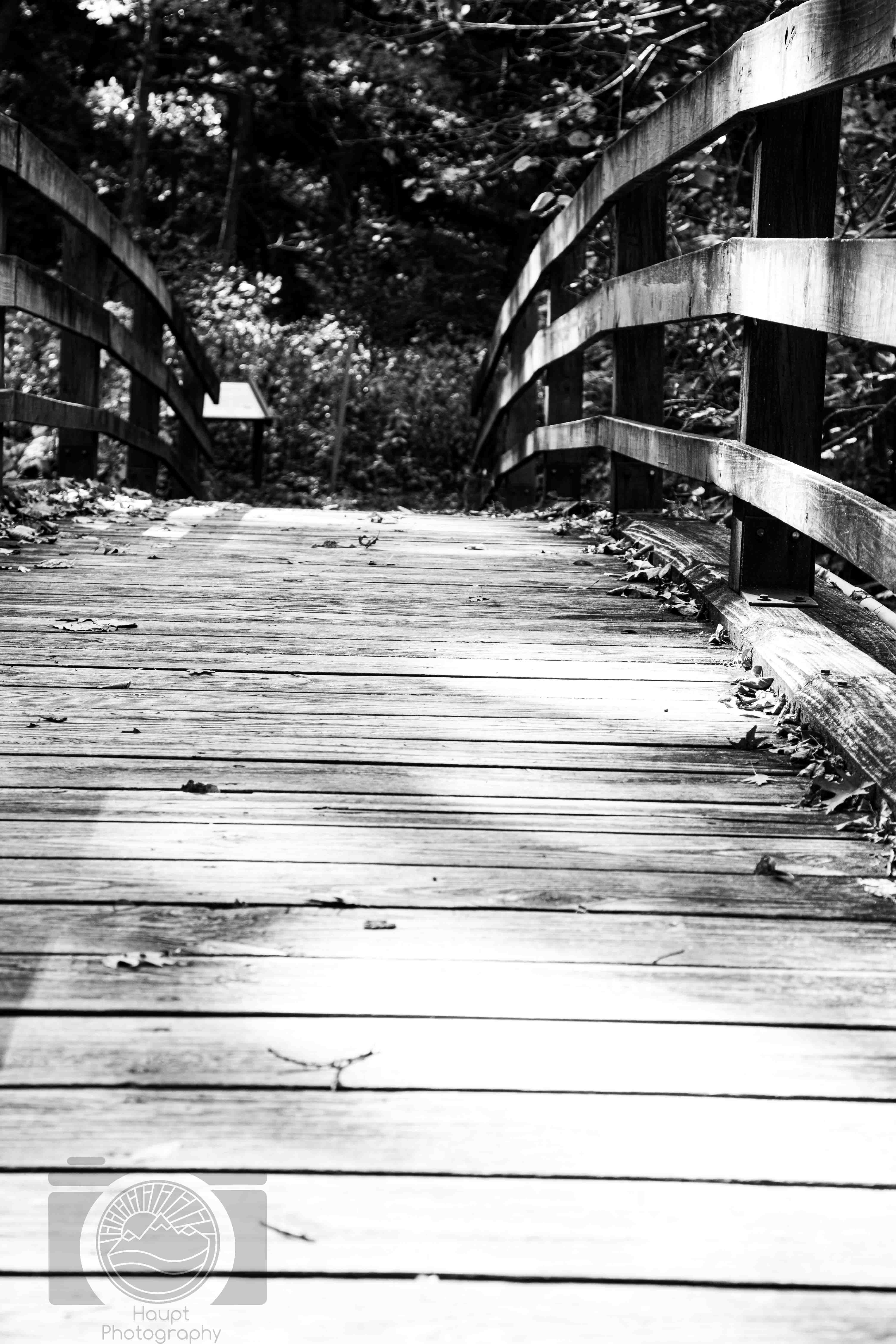 Silent Passage