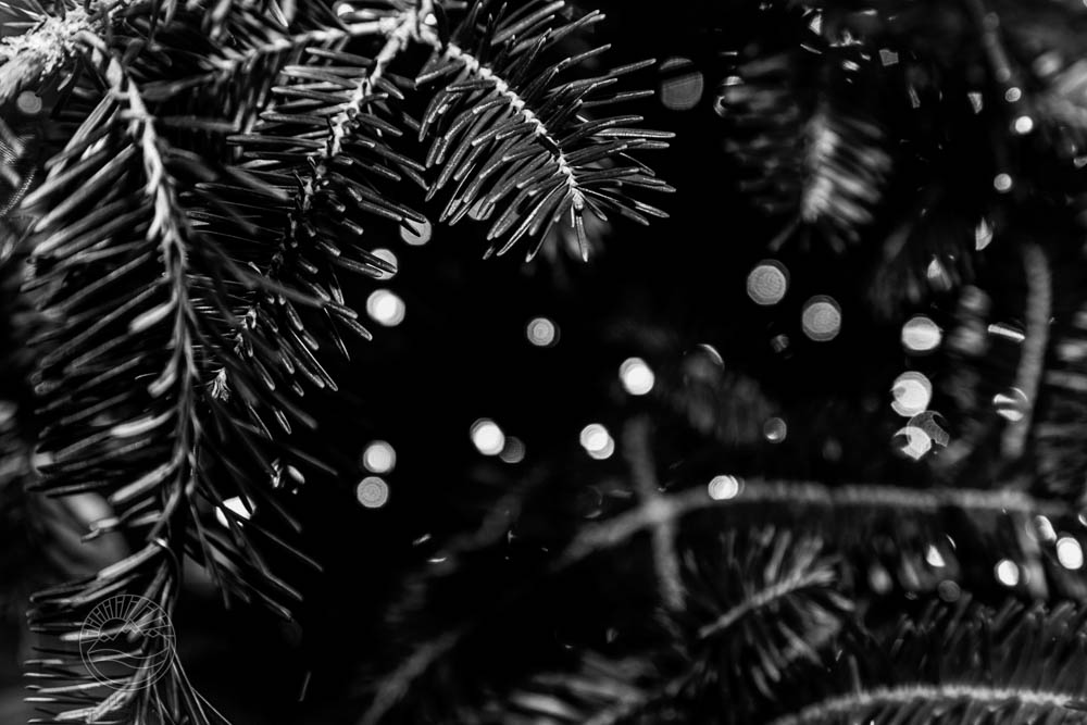 Starlit Needles