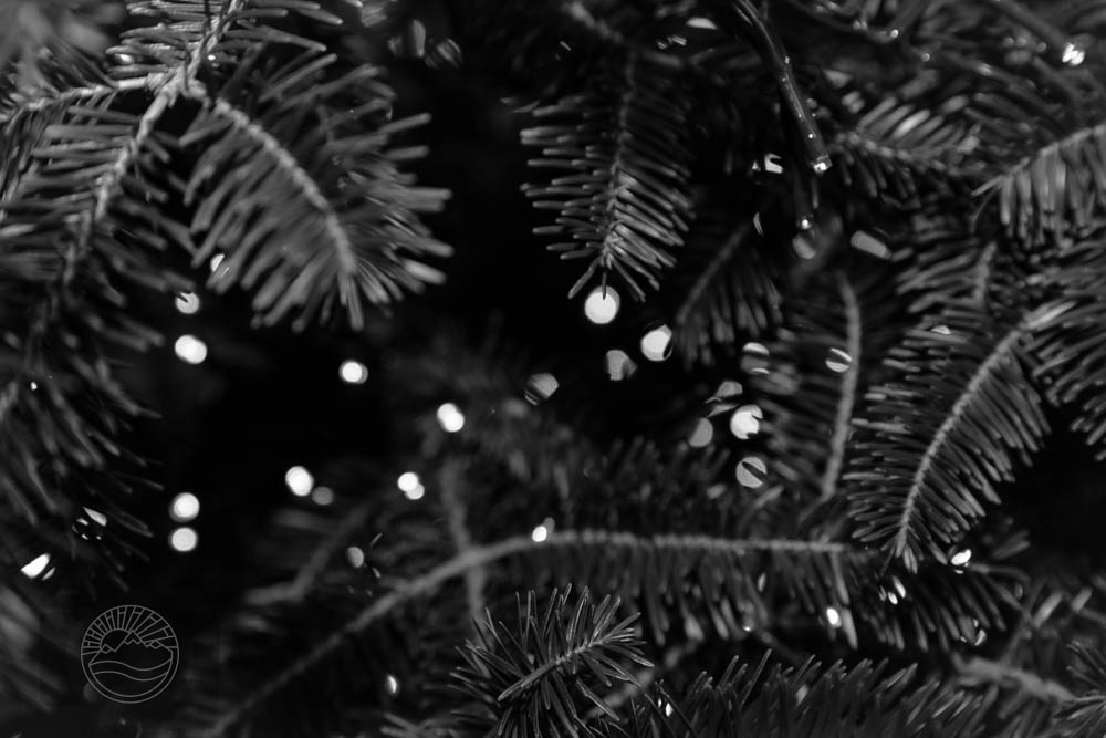 Whispers in the Pines