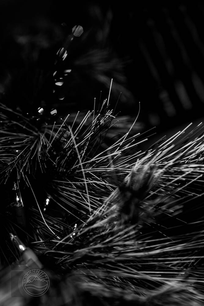 Light and Shadow