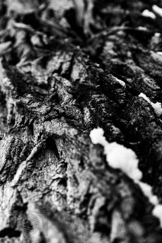 Weathered Skin and Snow