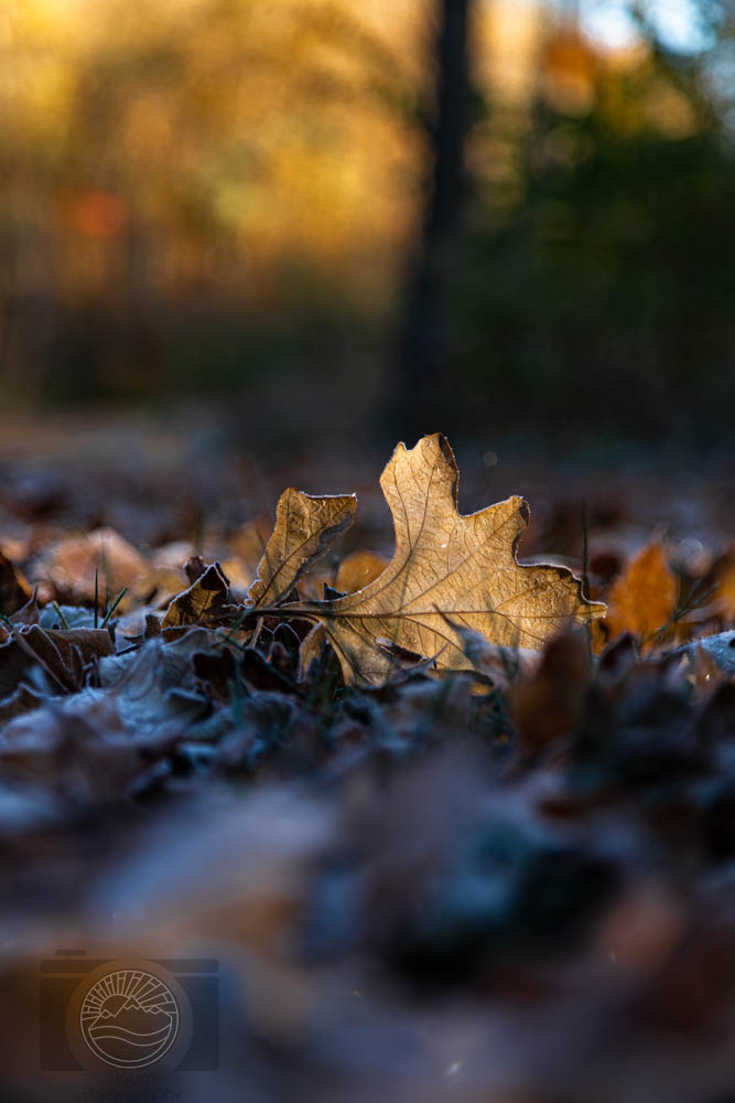 Seasons Edge