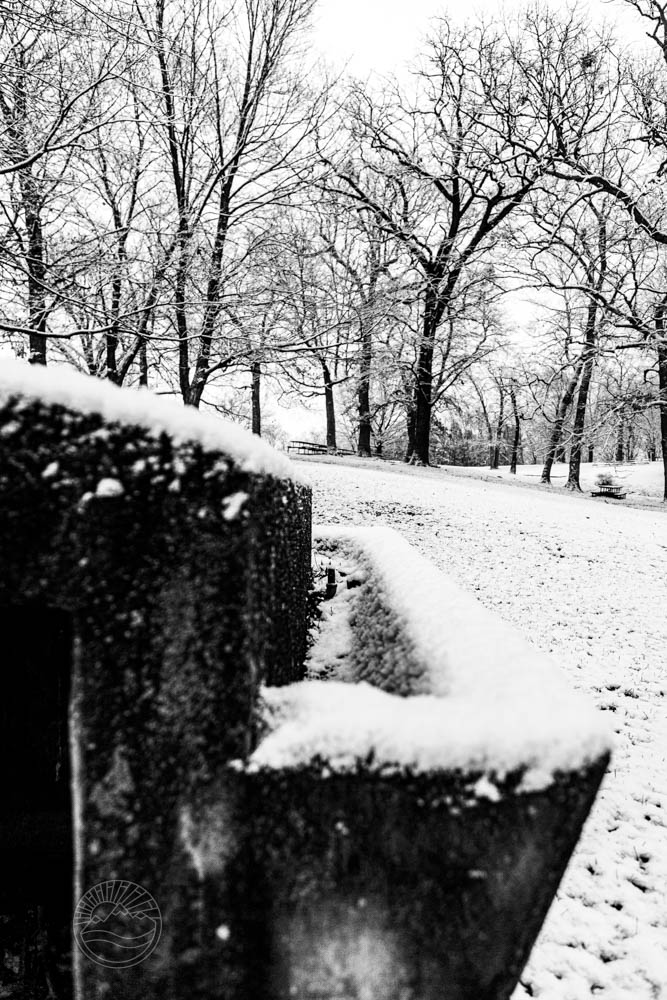 Winters Trough